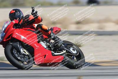 media/Oct-13-2025-Moto Forza (Mon) [[a66d839500]]/3-B Group/Session 4 Turn 4 Tree of Life/